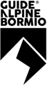 Logo Guide Alpine Bormio